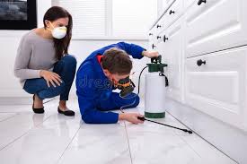 Best Real Estate Pest Inspections  in Wheatland, CA